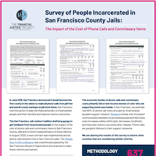 First page of survey report